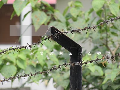 网贷逾期上门去哪里 网贷逾期上门去哪里