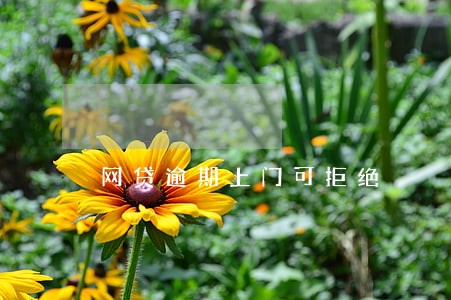 网贷逾期上门可拒绝