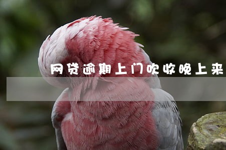 网贷逾期上门吹收晚上来嘛 网贷逾期上门吹收晚上来嘛