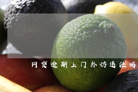 网贷逾期上门外访违法吗 网贷逾期上门外访违法吗