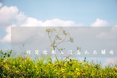 网贷逾期上门怎么去解决 网贷逾期上门怎么去解决