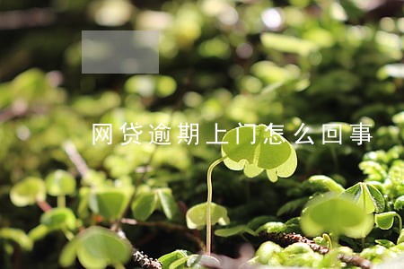 网贷逾期上门怎么回事 网贷逾期上门怎么回事