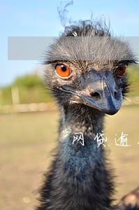 网贷逾期上门收款怎么办 网贷逾期上门收款怎么办