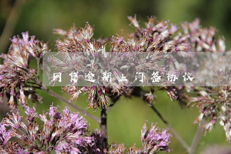 网贷逾期上门签协议 网贷逾期上门签协议