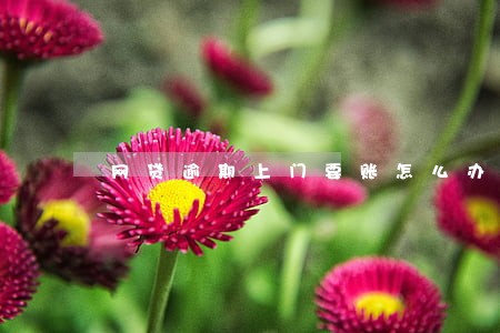 网贷逾期上门要账怎么办 网贷逾期上门要账怎么办