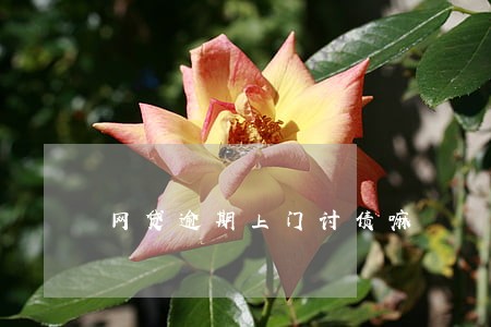 网贷逾期上门讨债嘛 网贷逾期上门讨债嘛