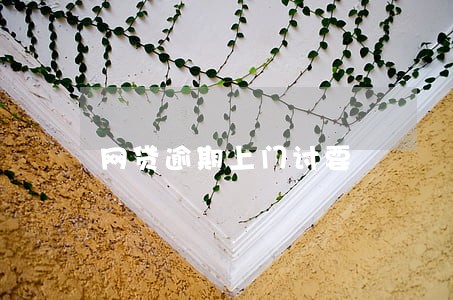 网贷逾期上门讨要 网贷逾期上门讨要