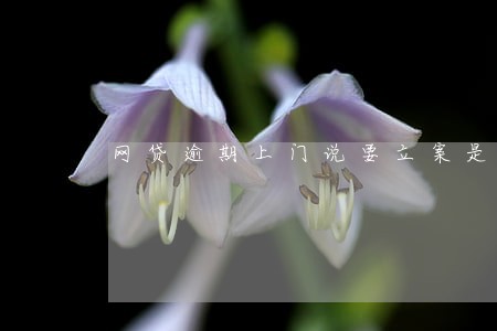 网贷逾期上门说要立案是真的吗 网贷逾期上门说要立案是真的吗