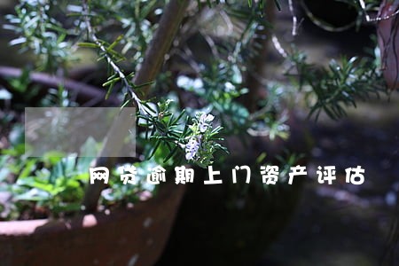 网贷逾期上门资产评估 网贷逾期上门资产评估