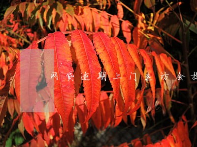 网贷逾期上门走访会提前通知信息 网贷逾期上门走访会提前通知信息
