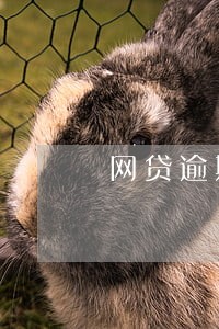 网贷逾期上门走访会提前通知吗 网贷逾期上门走访会提前通知吗