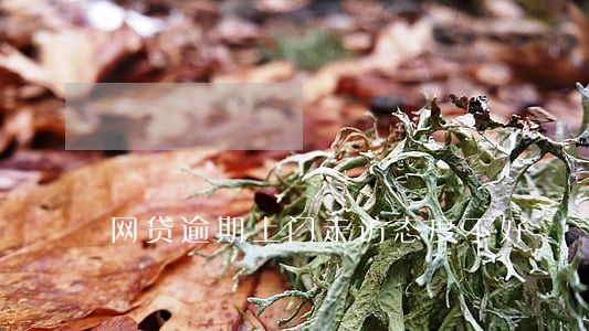 网贷逾期上门走访态度不好