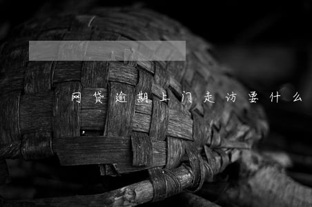 网贷逾期上门走访要什么资料 网贷逾期上门走访要什么资料
