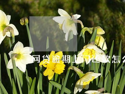 网贷逾期上门还款怎么办 网贷逾期上门还款怎么办