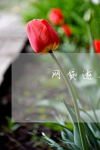 网贷逾期上门追收 网贷逾期上门追收