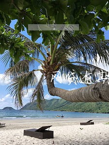 网贷逾期上门通知是真的假的 网贷逾期上门通知是真的假的
