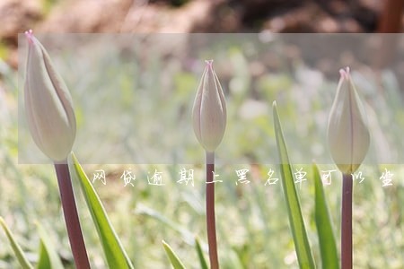 网贷逾期上黑名单可以坐飞机吗