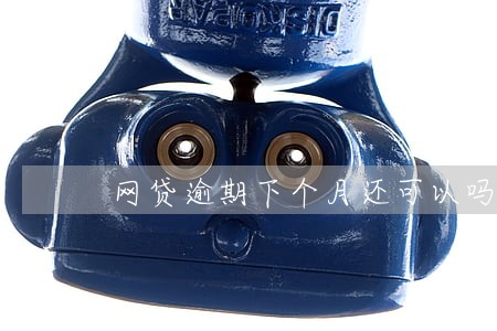 网贷逾期下个月还可以吗 网贷逾期下个月还可以吗
