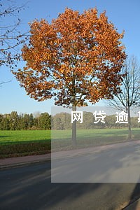 网贷逾期下卡了 网贷逾期下卡了