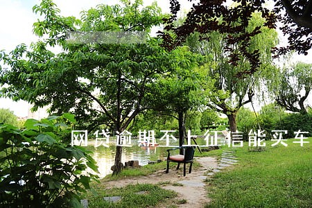 网贷逾期不上征信能买车吗 网贷逾期不上征信能买车吗