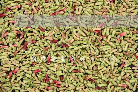 网贷逾期不会上门吗 网贷逾期不会上门吗