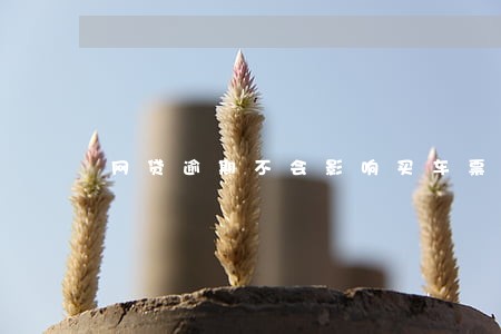 网贷逾期不会影响买车票吧 网贷逾期不会影响买车票吧
