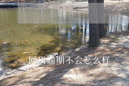 网贷逾期不会怎么样 网贷逾期不会怎么样