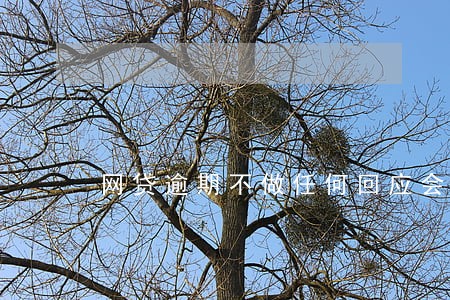 网贷逾期不做任何回应会怎么样 网贷逾期不做任何回应会怎么样