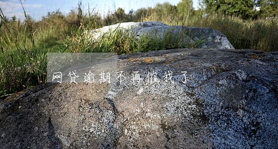 网贷逾期不再催我了