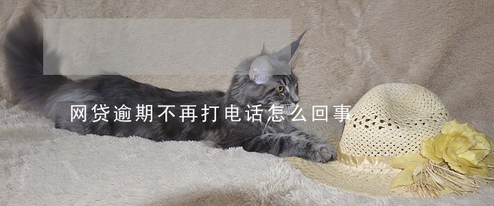 网贷逾期不再打电话怎么回事 网贷逾期不再打电话怎么回事