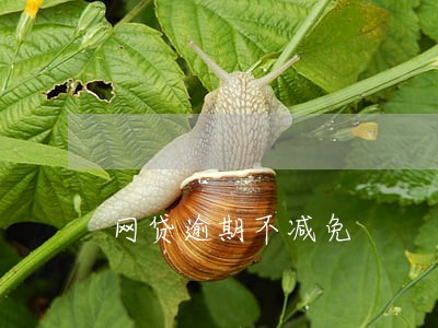网贷逾期不减免 网贷逾期不减免