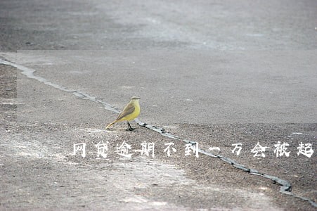 网贷逾期不到一万会被起诉吗 网贷逾期不到一万会被起诉吗