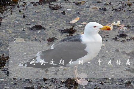 网贷逾期不到一个月协商 网贷逾期不到一个月协商
