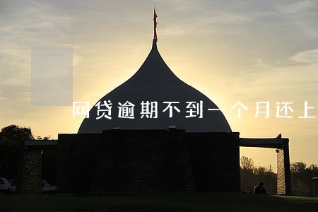 网贷逾期不到一个月还上了 网贷逾期不到一个月还上了