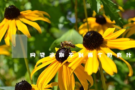 网贷逾期不到两个月有什么影响 网贷逾期不到两个月有什么影响