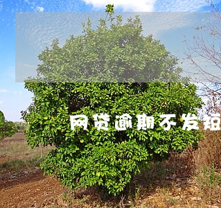 网贷逾期不发短信了 网贷逾期不发短信了