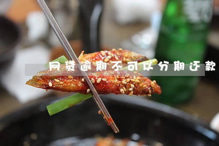 网贷逾期不可以分期还款吗 网贷逾期不可以分期还款吗