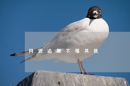 网贷逾期不堪其扰 网贷逾期不堪其扰