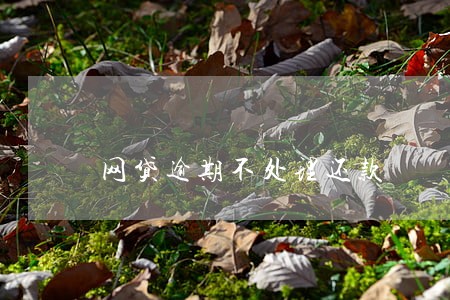 网贷逾期不处理还款 网贷逾期不处理还款