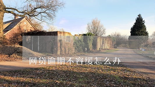 网贷逾期不容缓怎么办 网贷逾期不容缓怎么办