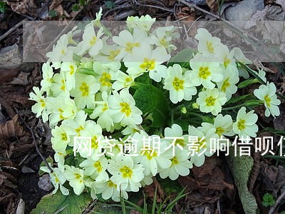 网贷逾期不影响借呗使用 网贷逾期不影响借呗使用