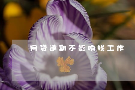 网贷逾期不影响找工作