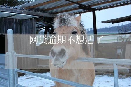 网贷逾期不想活了 网贷逾期不想活了
