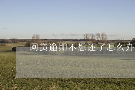 网贷逾期不想还了怎么办 网贷逾期不想还了怎么办