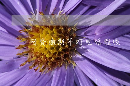 网贷逾期不打电话催收 网贷逾期不打电话催收