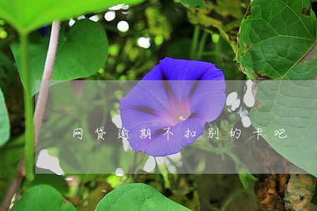 网贷逾期不扣别的卡吧 网贷逾期不扣别的卡吧