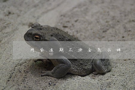 网贷逾期不换会怎么样 网贷逾期不换会怎么样
