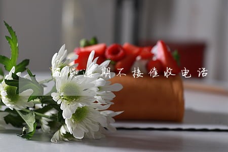 网贷逾期不接催收电话 网贷逾期不接催收电话