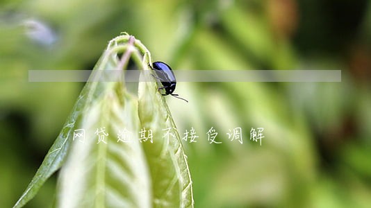 网贷逾期不接受调解 网贷逾期不接受调解