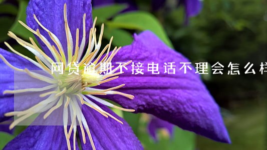 网贷逾期不接电话不理会怎么样 网贷逾期不接电话不理会怎么样